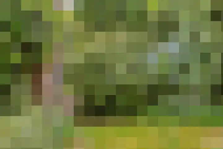 De Poter 1 Veldhoven thumbnail 36