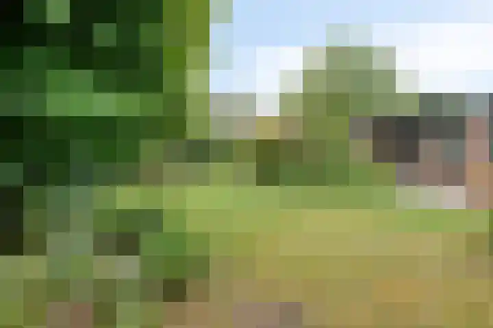 De Poter 1 Veldhoven thumbnail 37