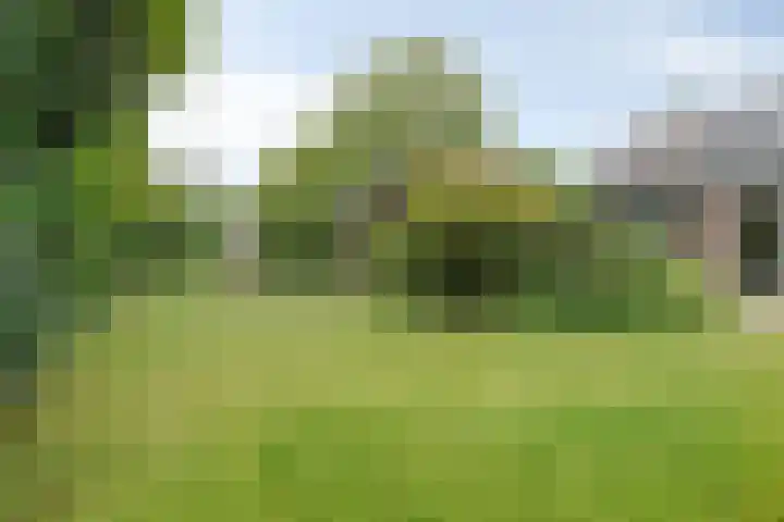 De Poter 1 Veldhoven thumbnail 39