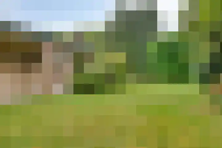 De Poter 1 Veldhoven thumbnail 40