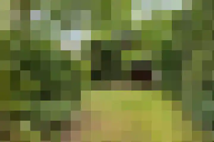 De Poter 1 Veldhoven thumbnail 41