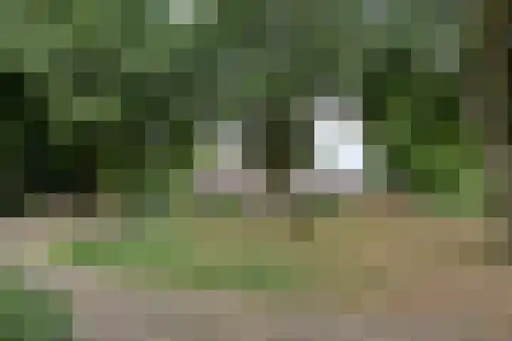 De Poter 1 Veldhoven thumbnail 42