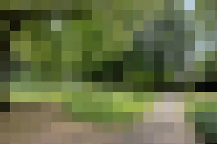 De Poter 1 Veldhoven thumbnail 43