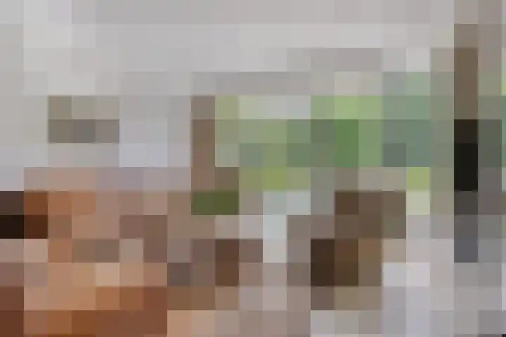 De Poter 1 Veldhoven thumbnail 8