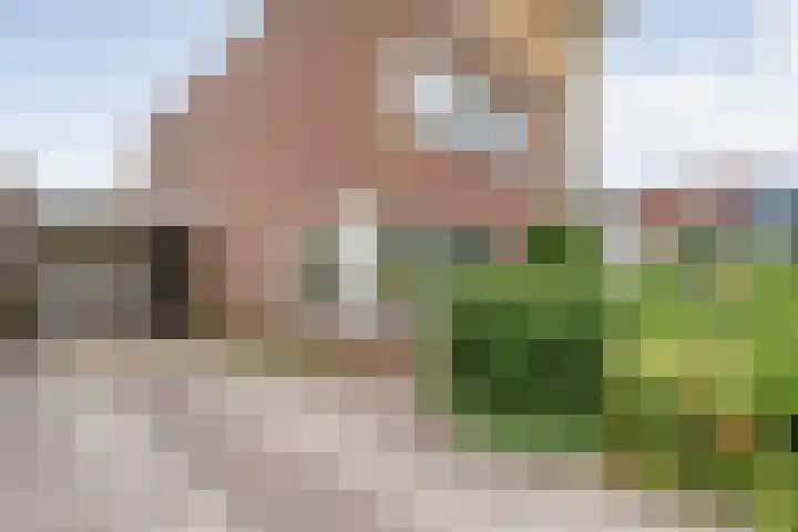 De Poterne 20 Steenwijk thumbnail 11