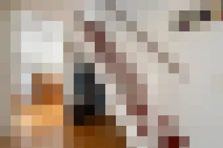 De Poterne 20 Steenwijk thumbnail 15