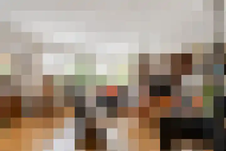 De Poterne 20 Steenwijk thumbnail 17