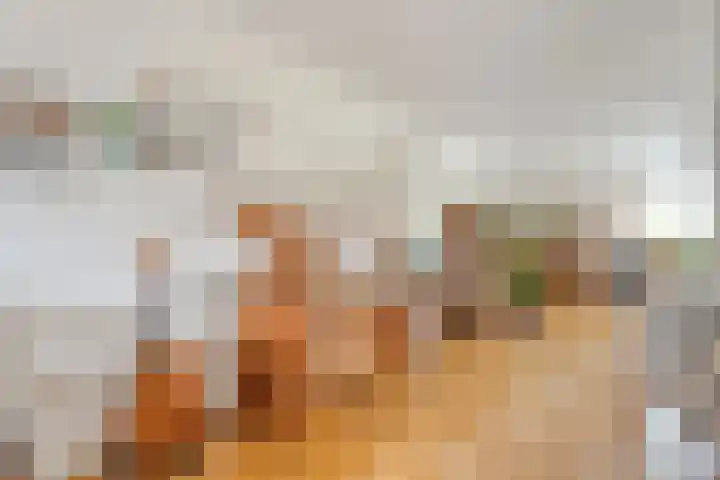 De Poterne 20 Steenwijk thumbnail 22