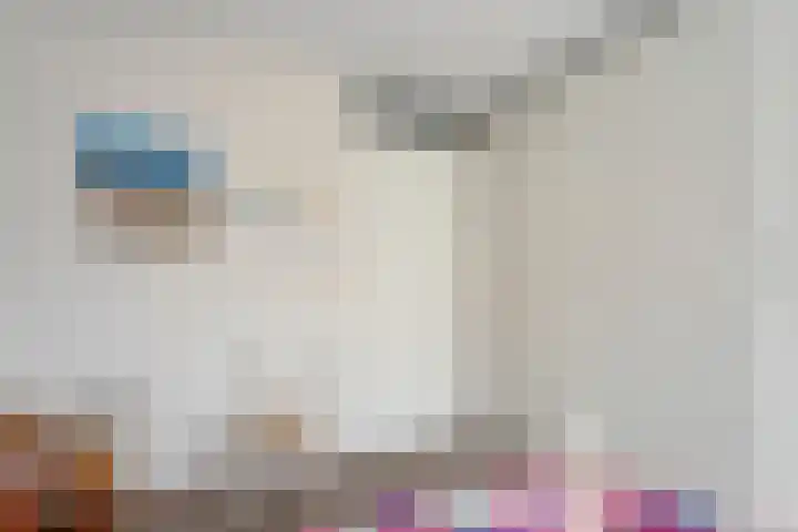 De Poterne 20 Steenwijk thumbnail 31