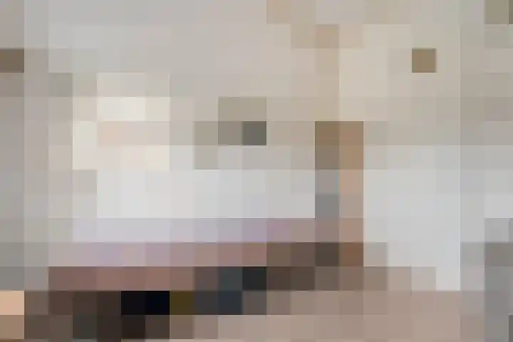 De Poterne 20 Steenwijk thumbnail 42