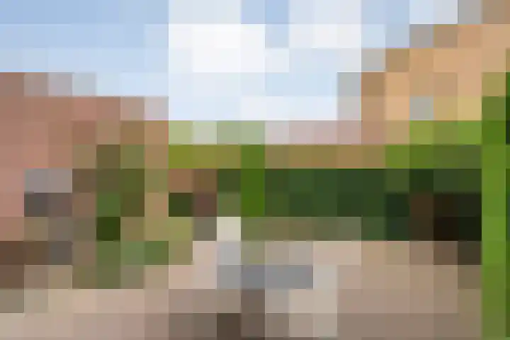 De Poterne 20 Steenwijk thumbnail 43