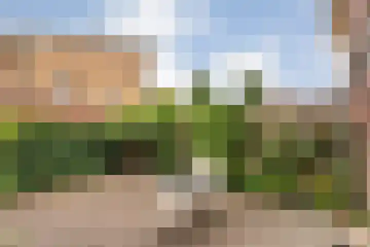 De Poterne 20 Steenwijk thumbnail 44