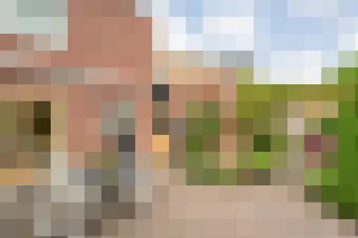 De Poterne 20 Steenwijk thumbnail 45