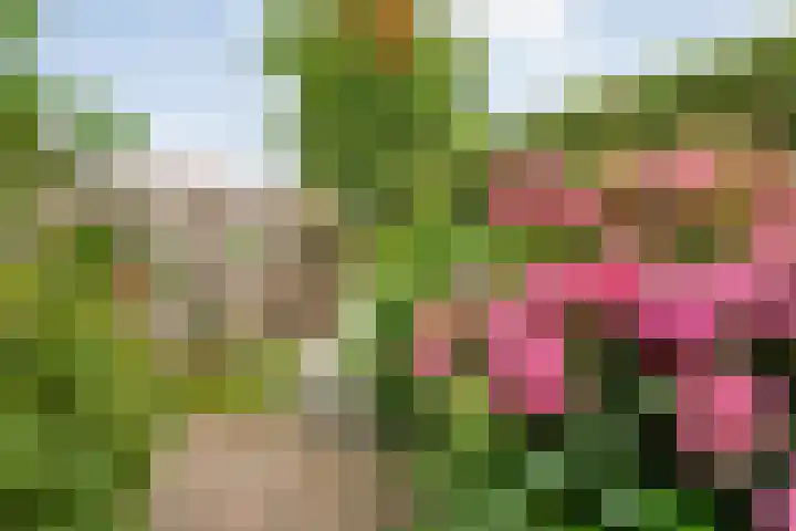 De Poterne 20 Steenwijk thumbnail 47