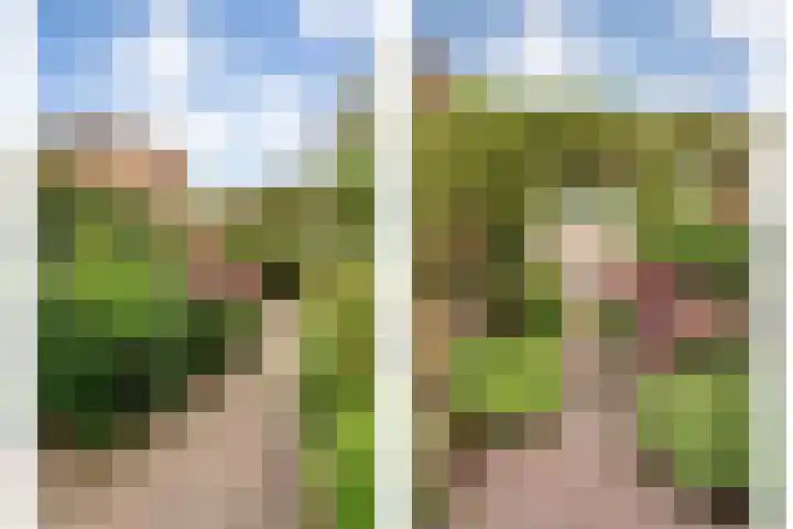 De Poterne 20 Steenwijk thumbnail 48
