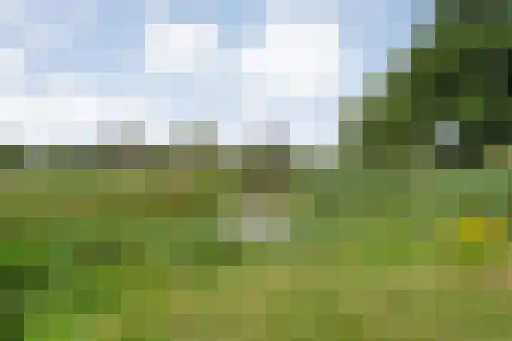 De Poterne 20 Steenwijk thumbnail 49