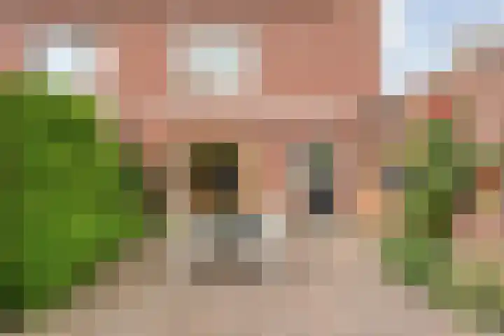De Poterne 20 Steenwijk thumbnail 5