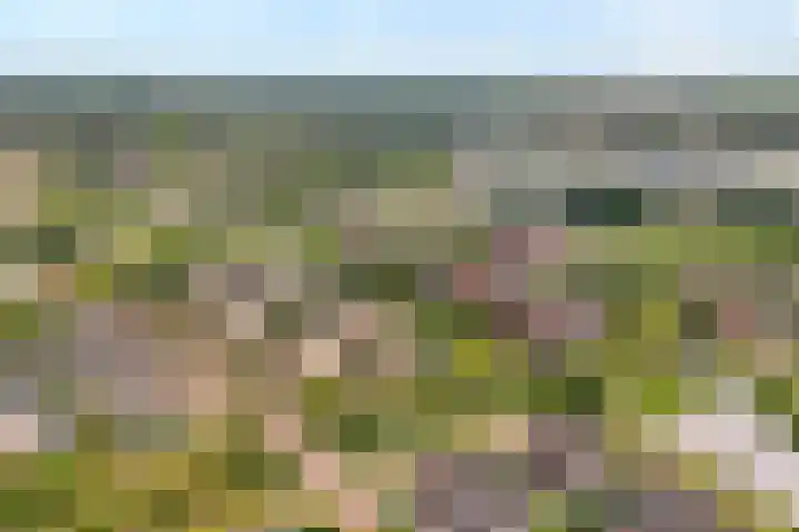 De Poterne 20 Steenwijk thumbnail 6