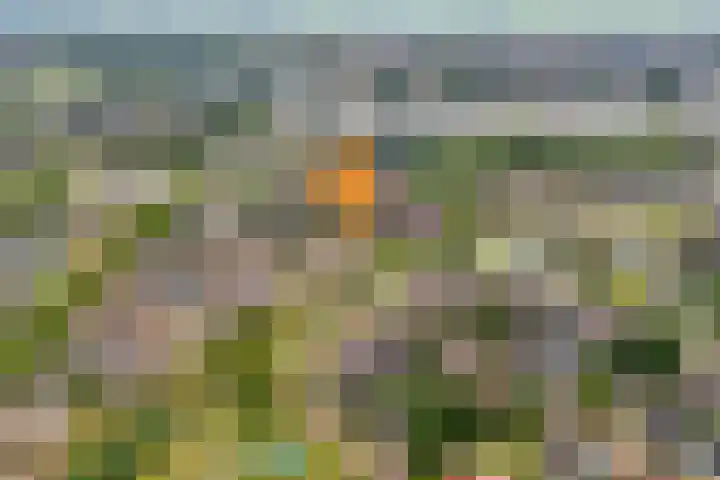 De Poterne 20 Steenwijk thumbnail 7
