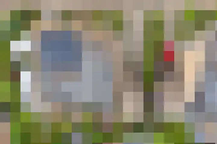 De Poterne 20 Steenwijk thumbnail 8