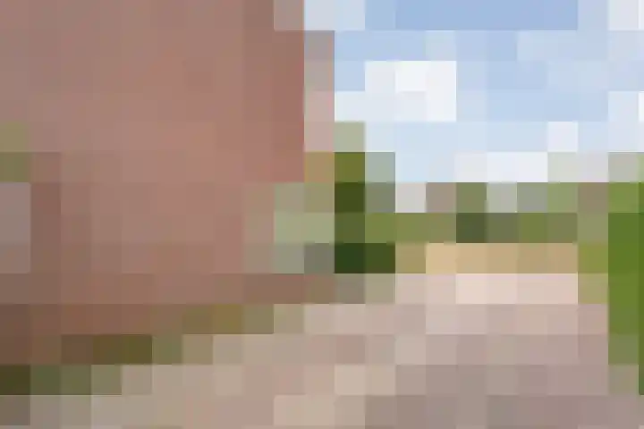 De Poterne 20 Steenwijk thumbnail 9