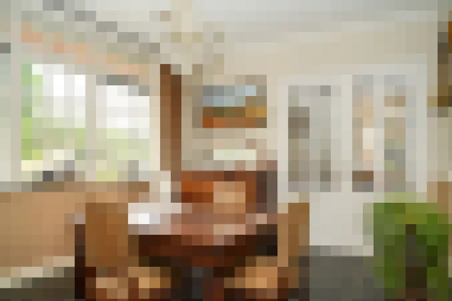De Pothof 109 Brummen thumbnail 23