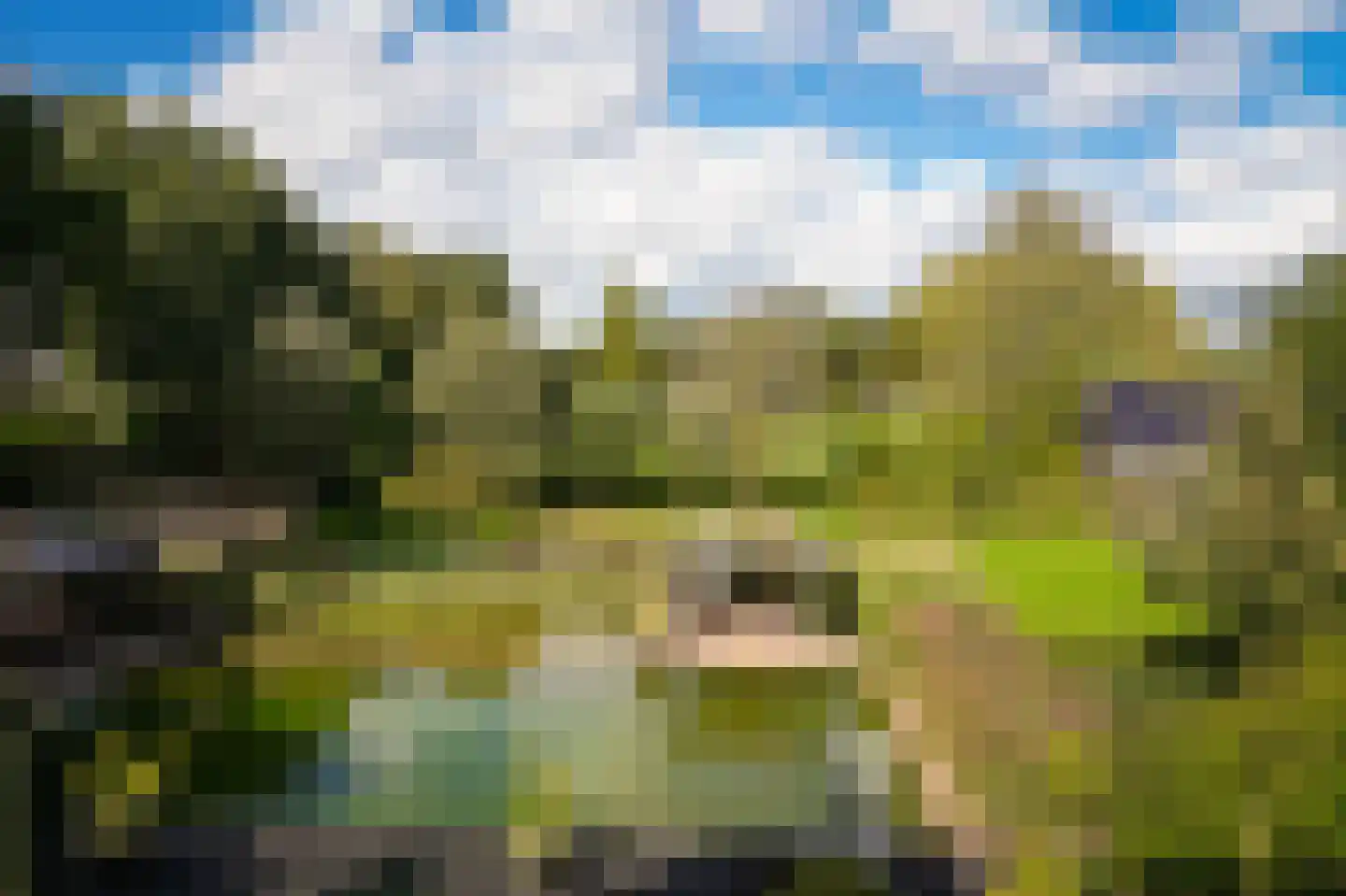 De Pothof 109 Brummen thumbnail 34
