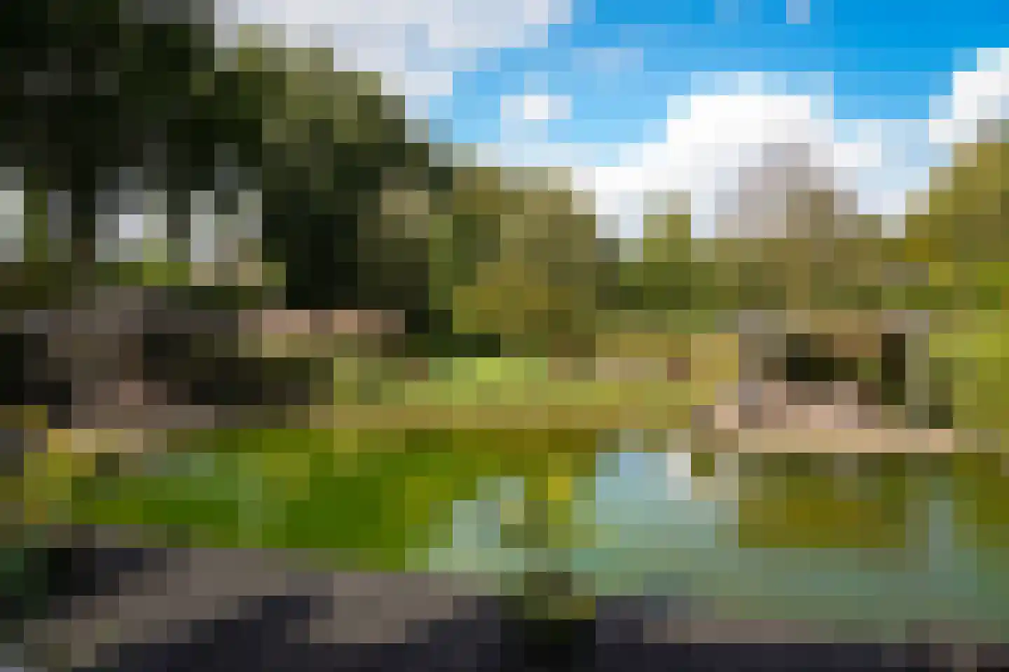 De Pothof 109 Brummen thumbnail 48