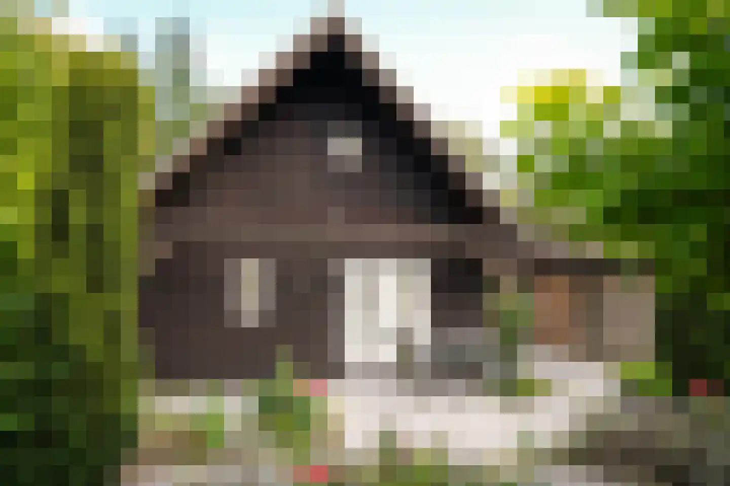 De Pothof 109 Brummen thumbnail 53