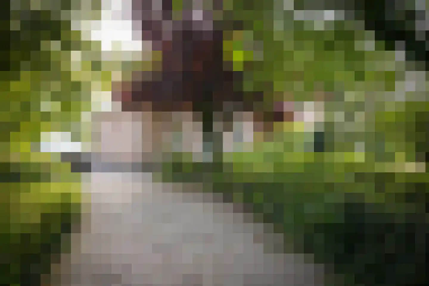De Pothof 109 Brummen thumbnail 59