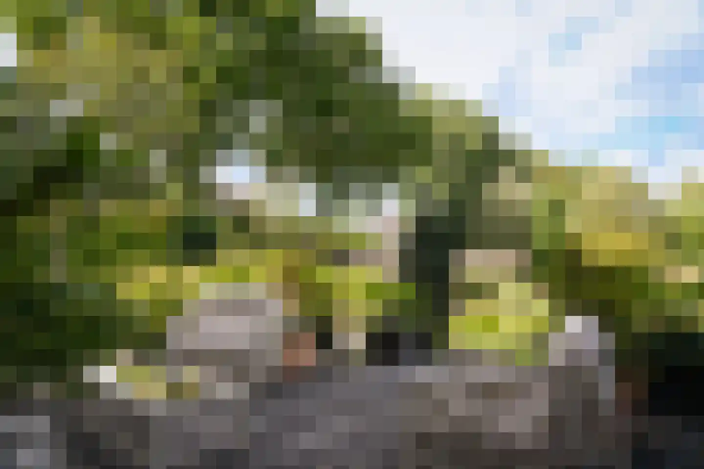 De Pothof 109 Brummen thumbnail 62