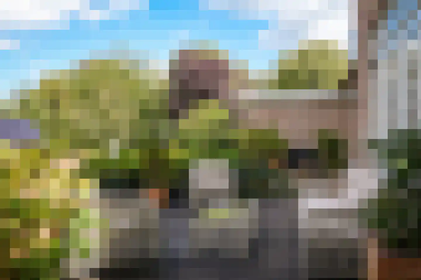 De Pothof 109 Brummen thumbnail 63