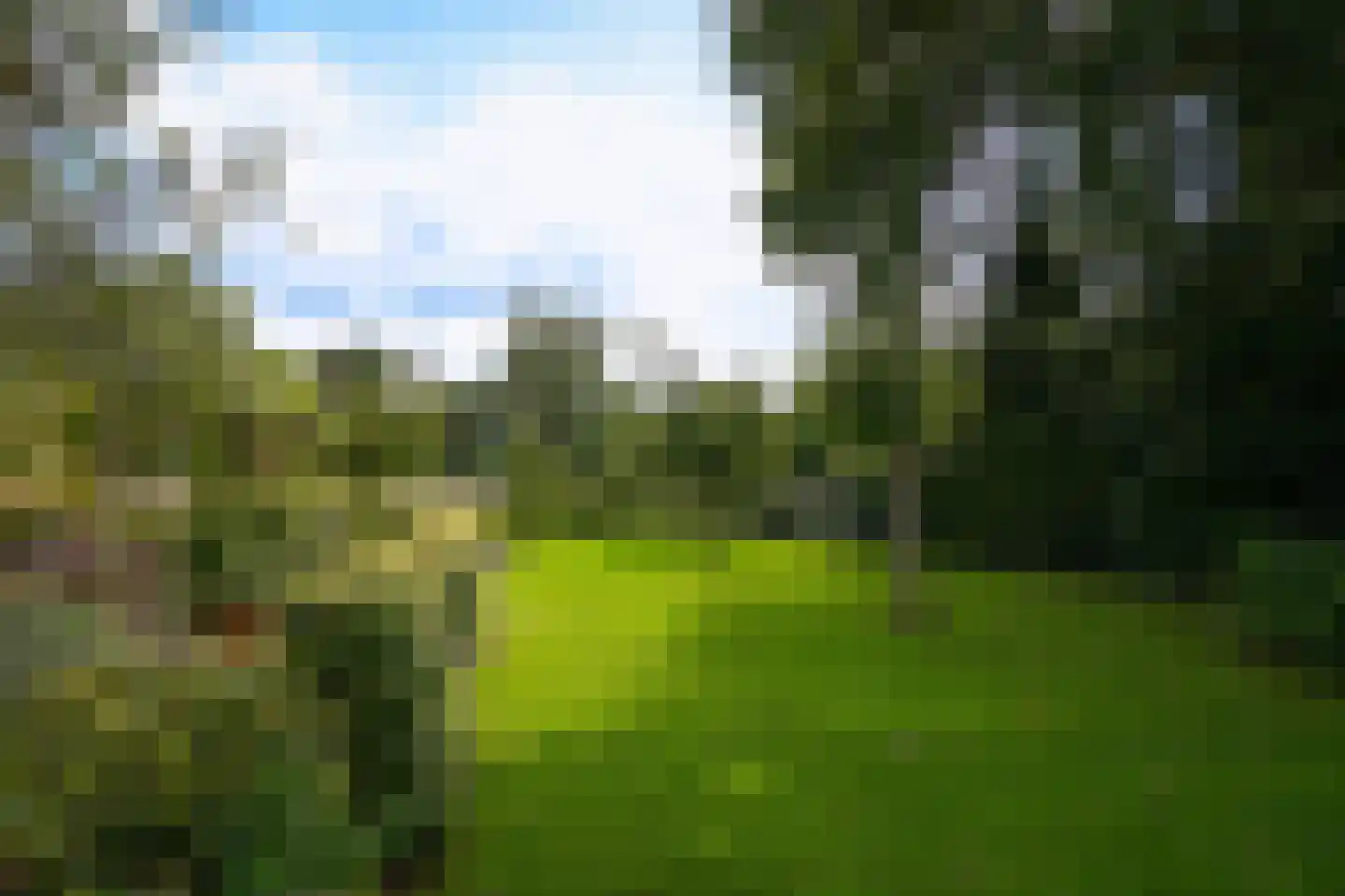 De Pothof 109 Brummen thumbnail 64