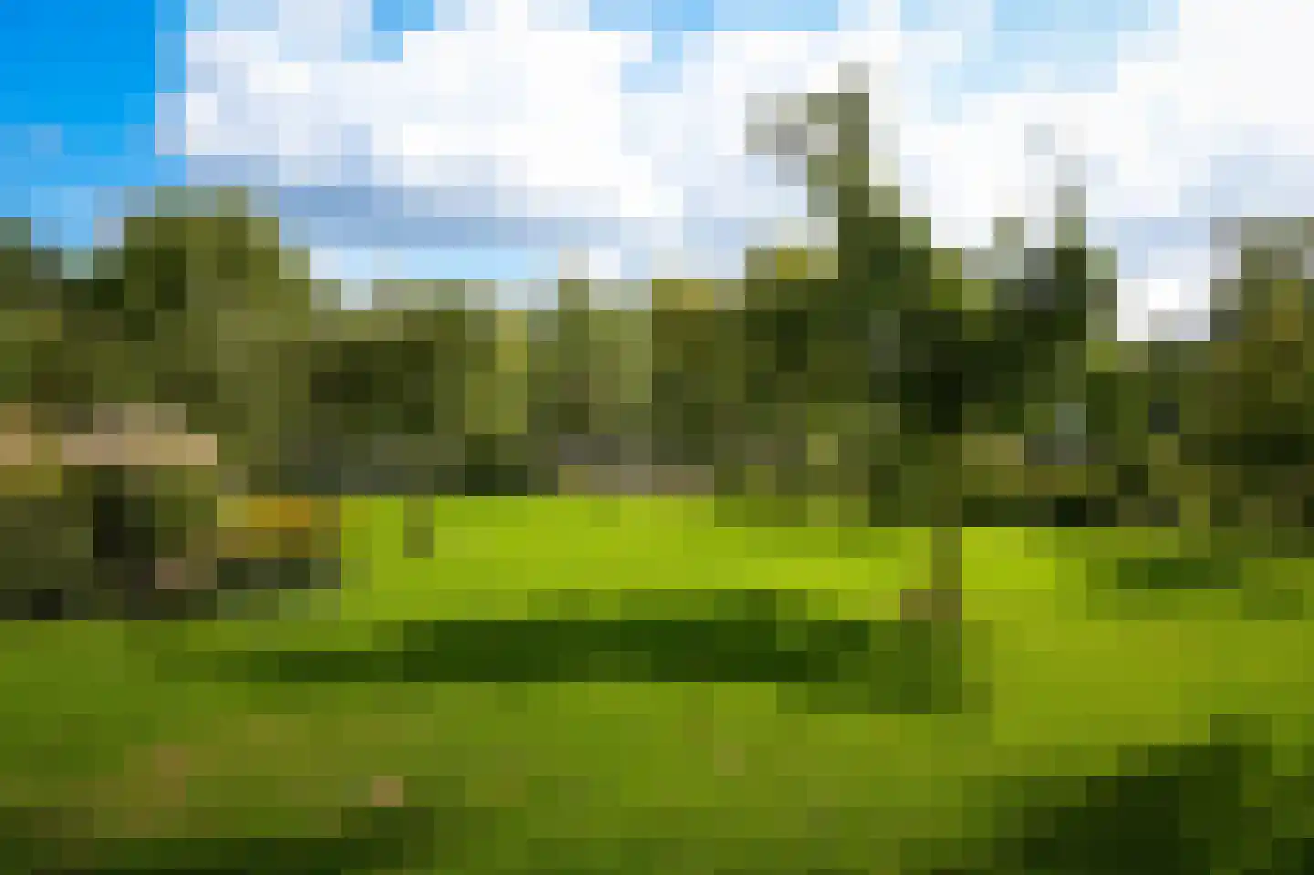 De Pothof 109 Brummen thumbnail 66