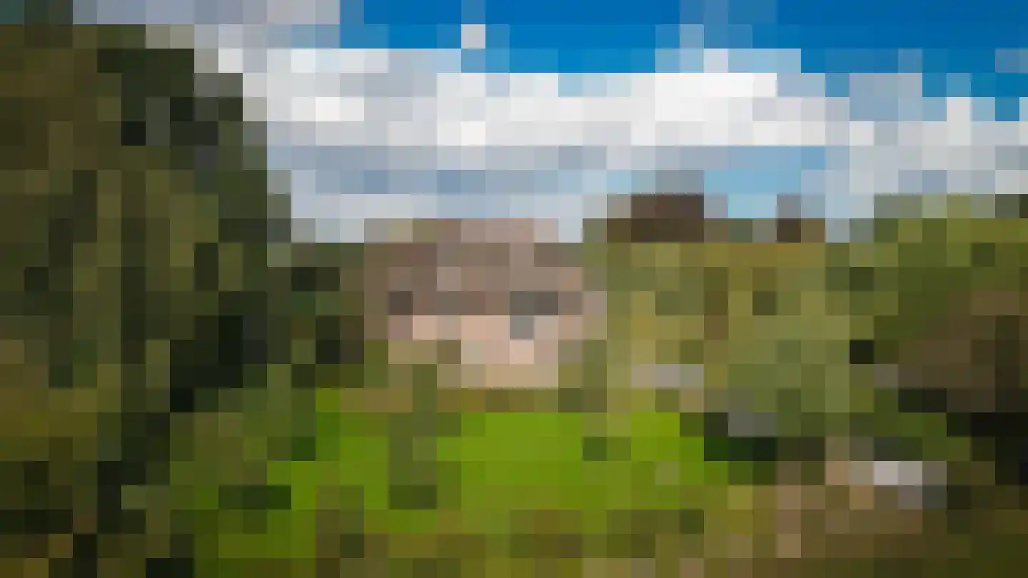 De Pothof 109 Brummen thumbnail 72