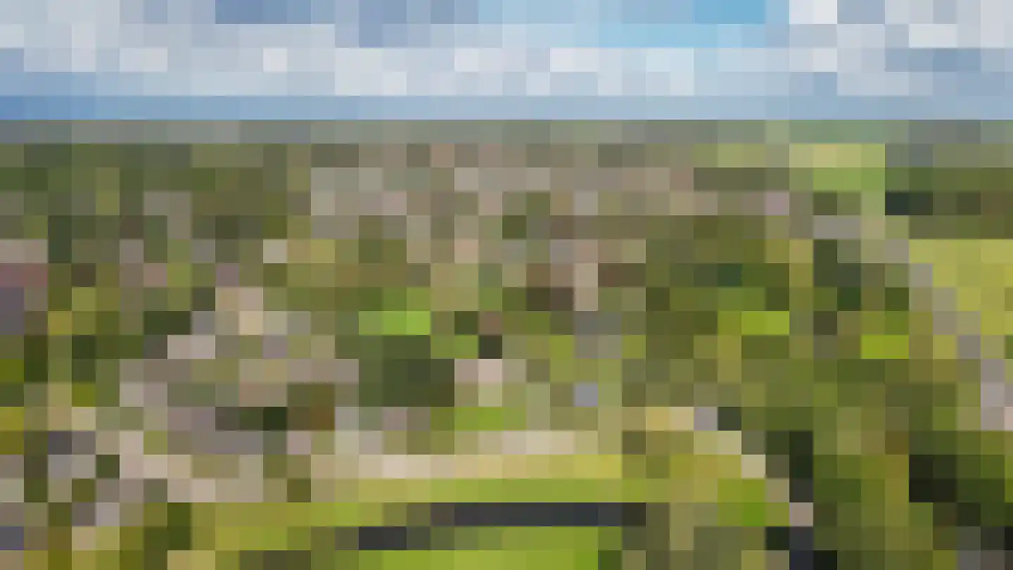 De Pothof 109 Brummen thumbnail 75