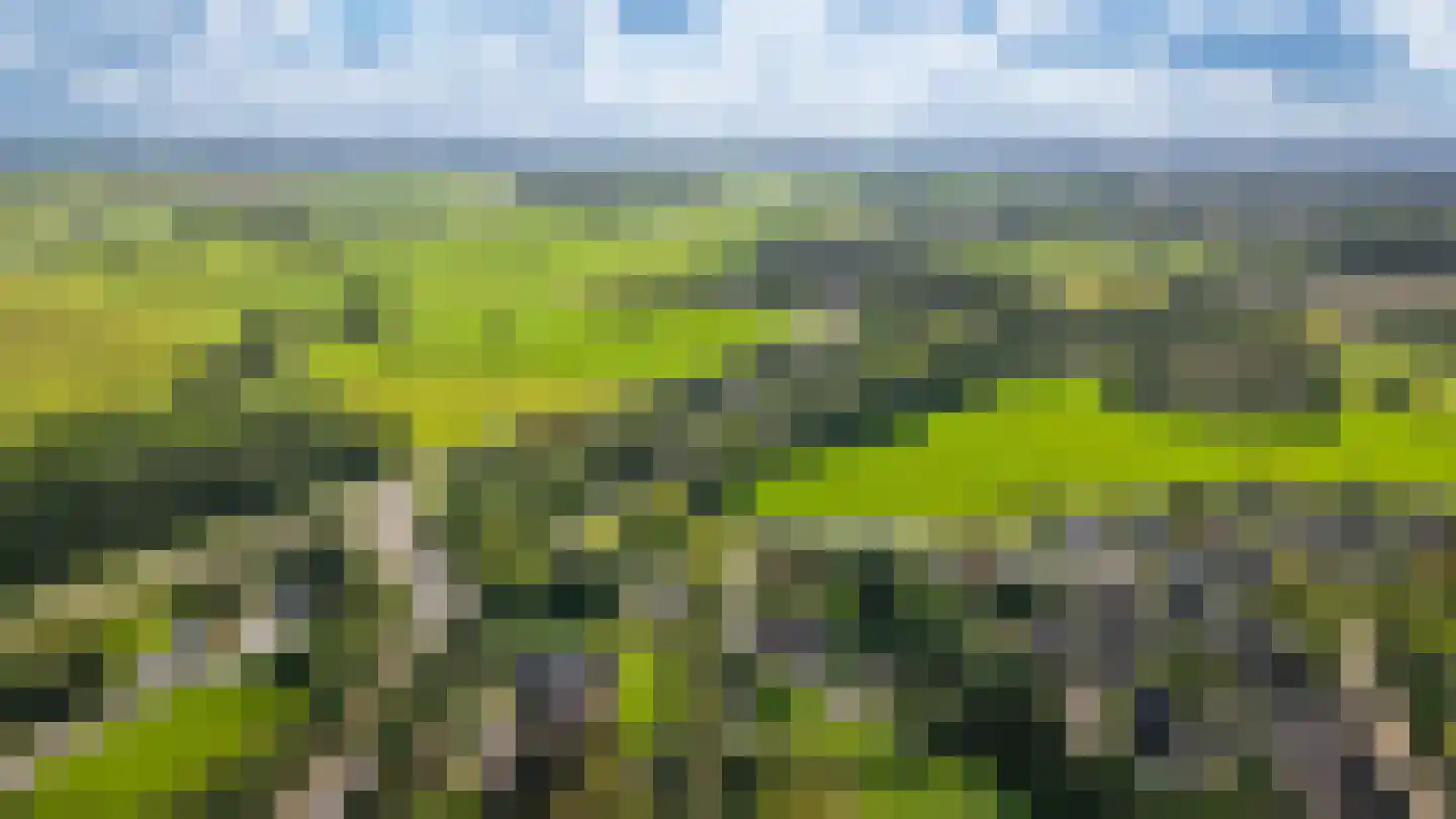 De Pothof 109 Brummen thumbnail 76