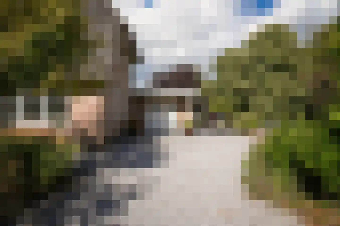 De Pothof 109 Brummen thumbnail 8