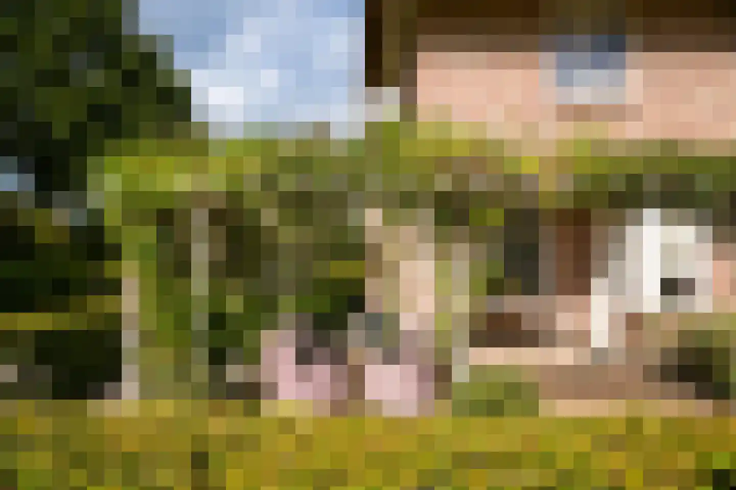 De Pothof 109 Brummen thumbnail 9
