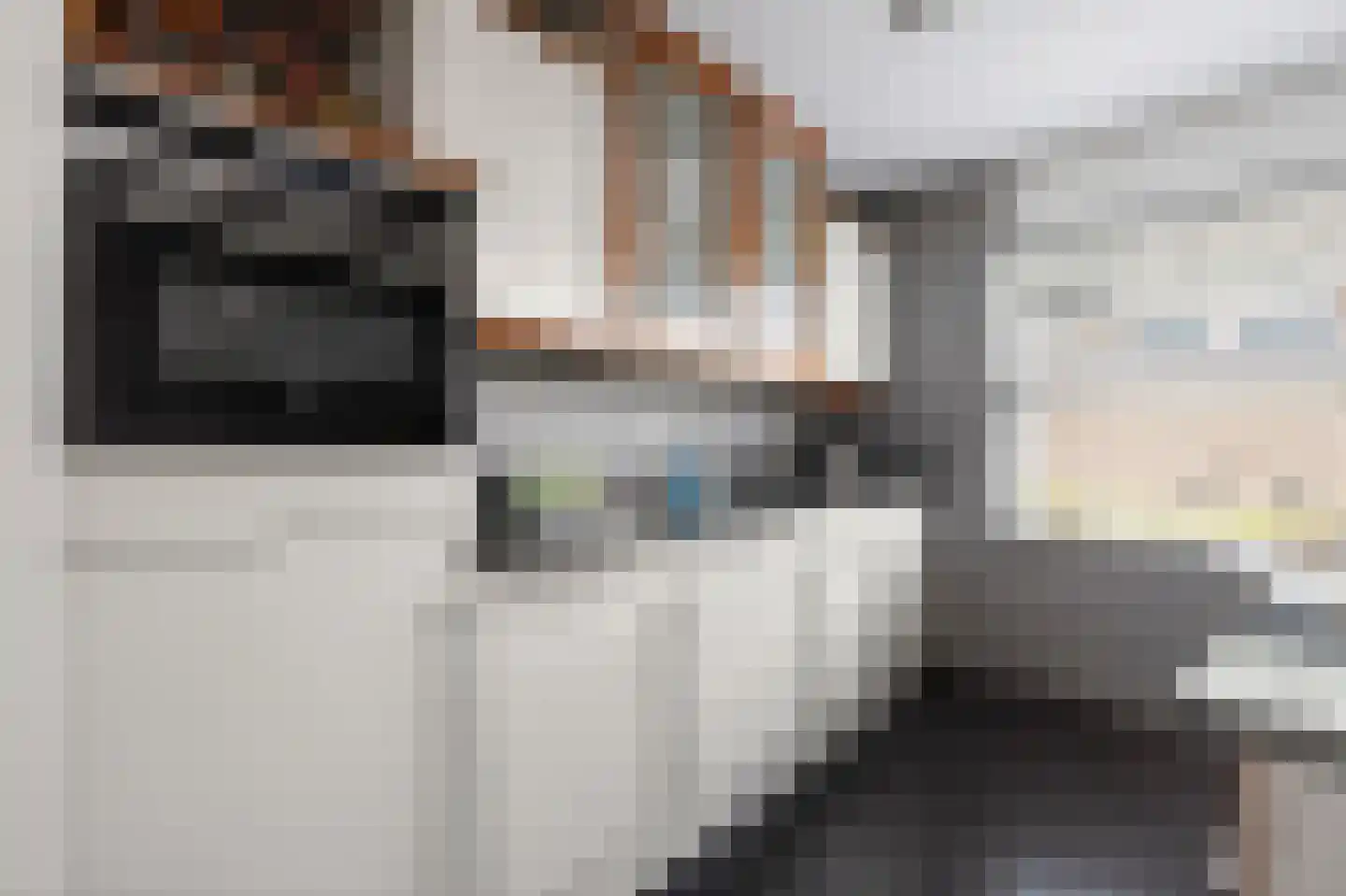 De Pottegieter 6 Vleuten thumbnail 10