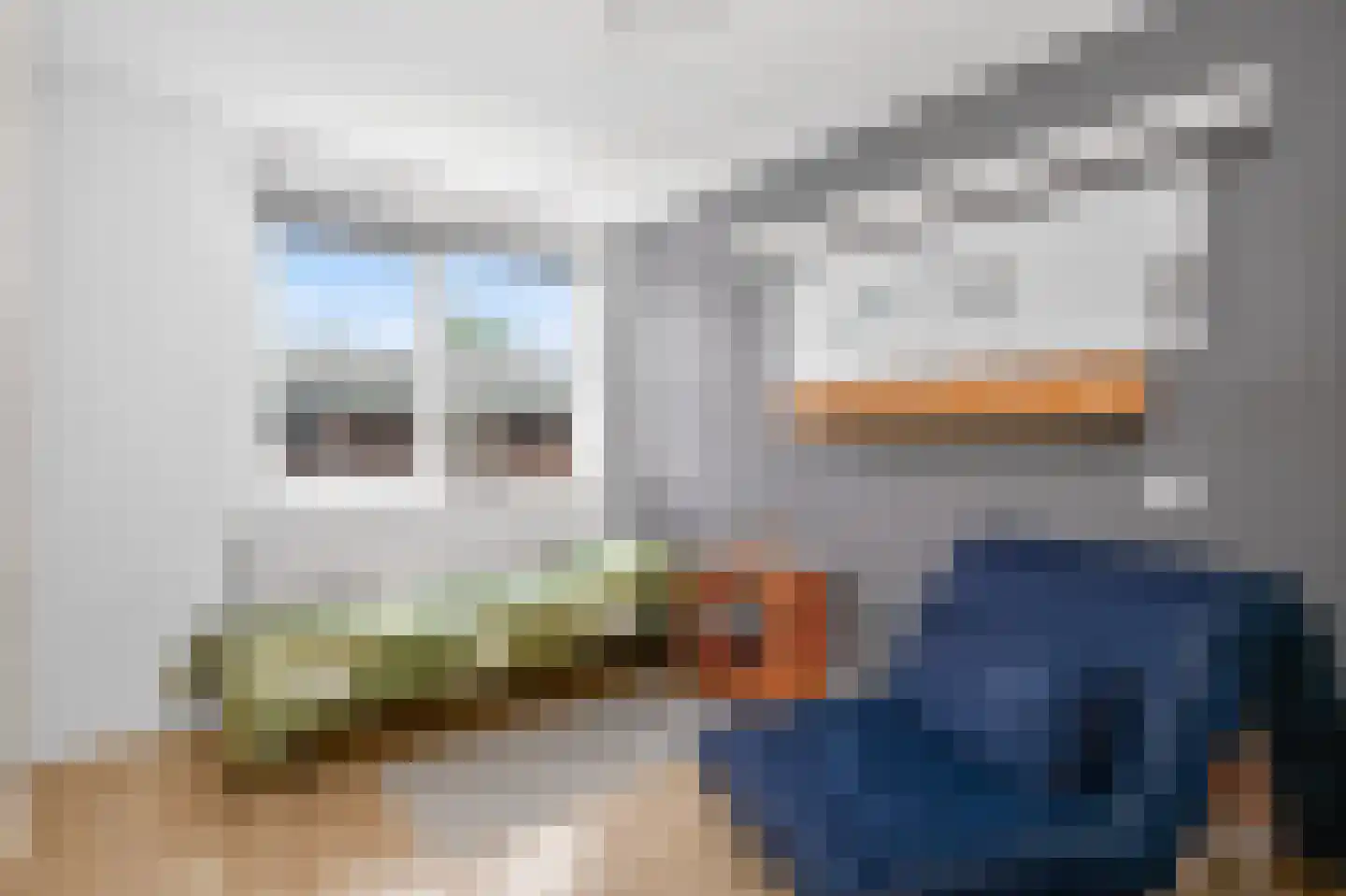 De Pottegieter 6 Vleuten thumbnail 13