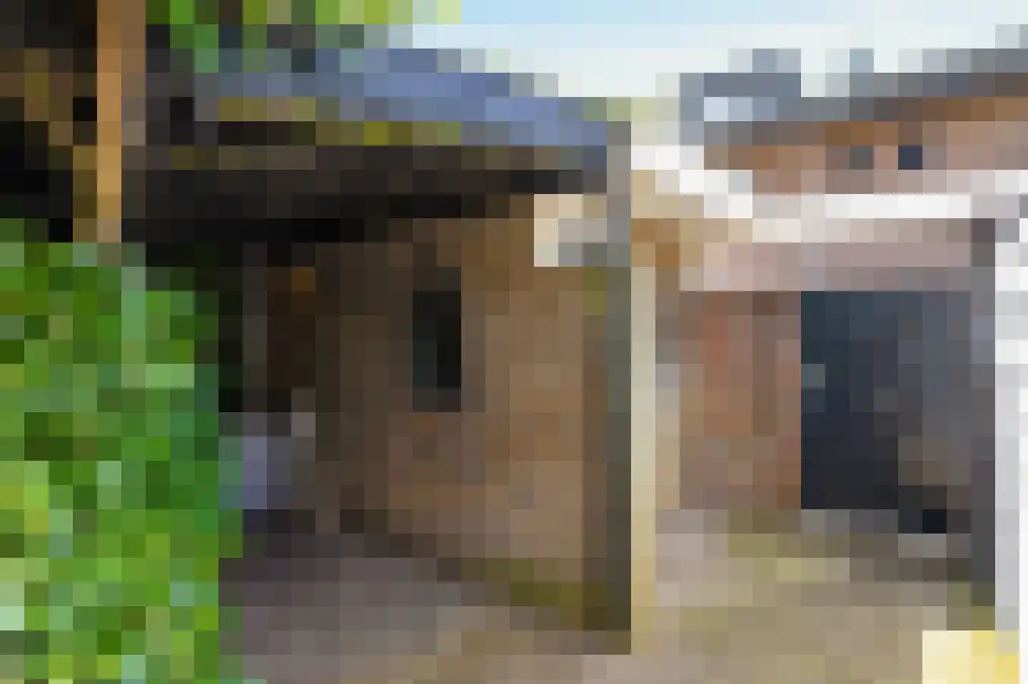 De Pottegieter 6 Vleuten thumbnail 22