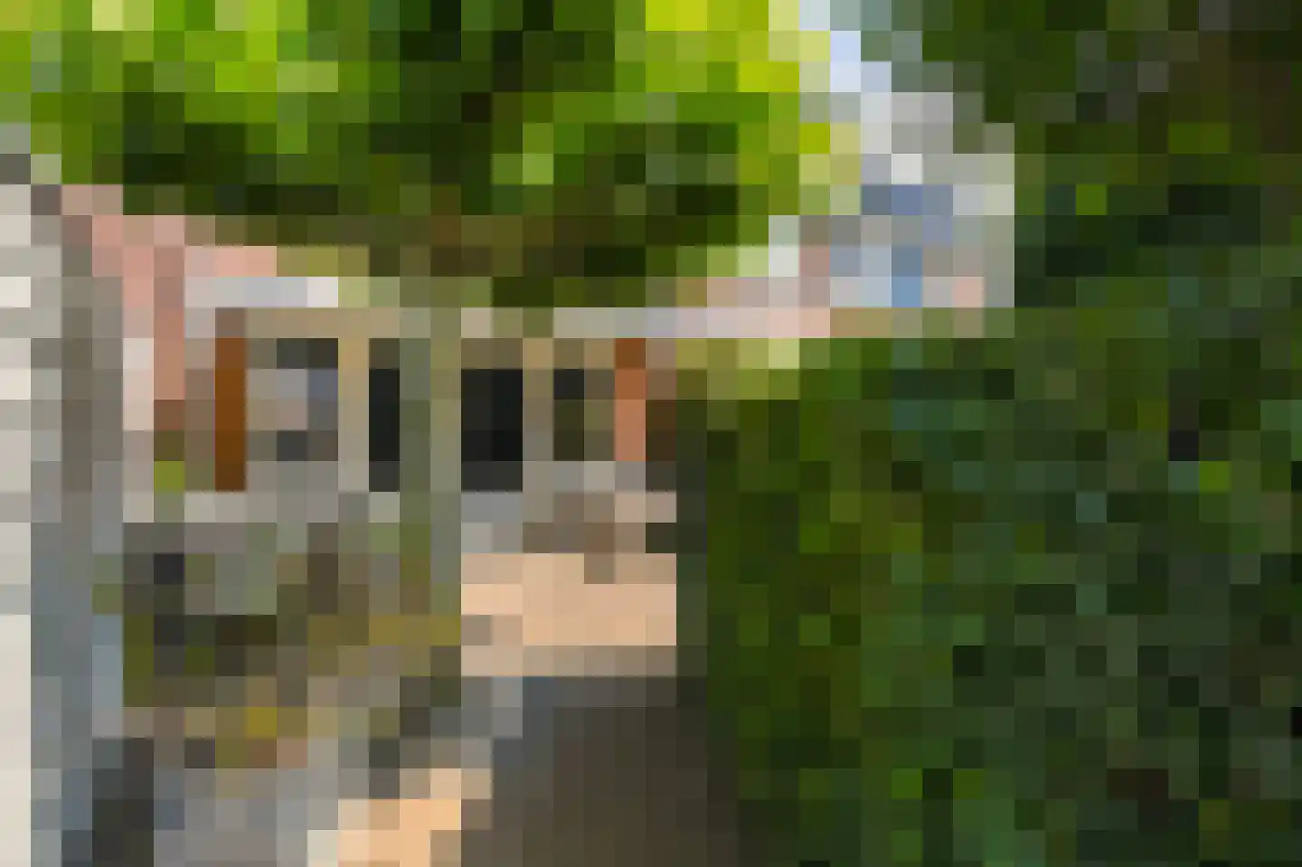 De Pottegieter 6 Vleuten thumbnail 23