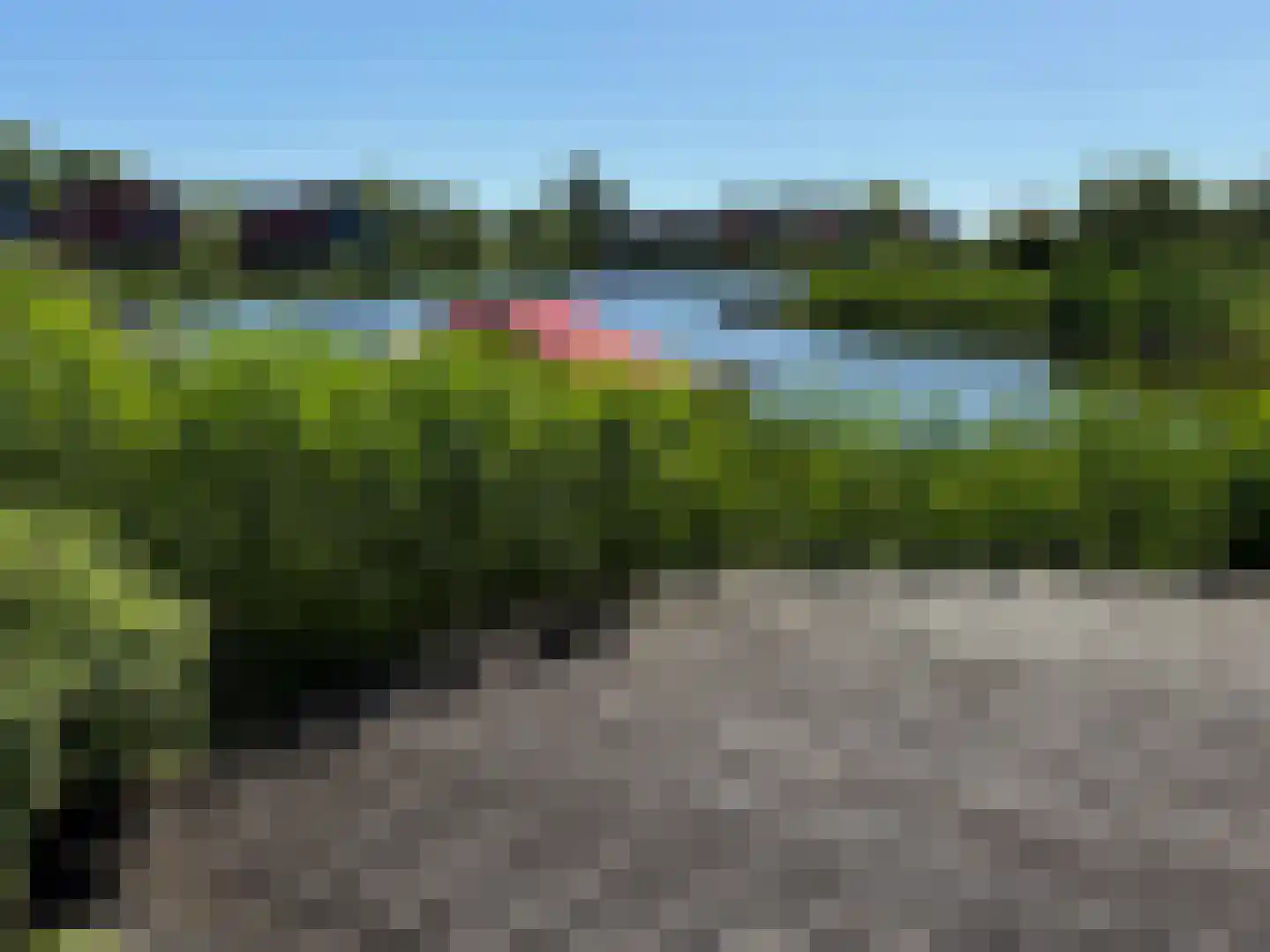 De Potten 101 Offingawier thumbnail 10