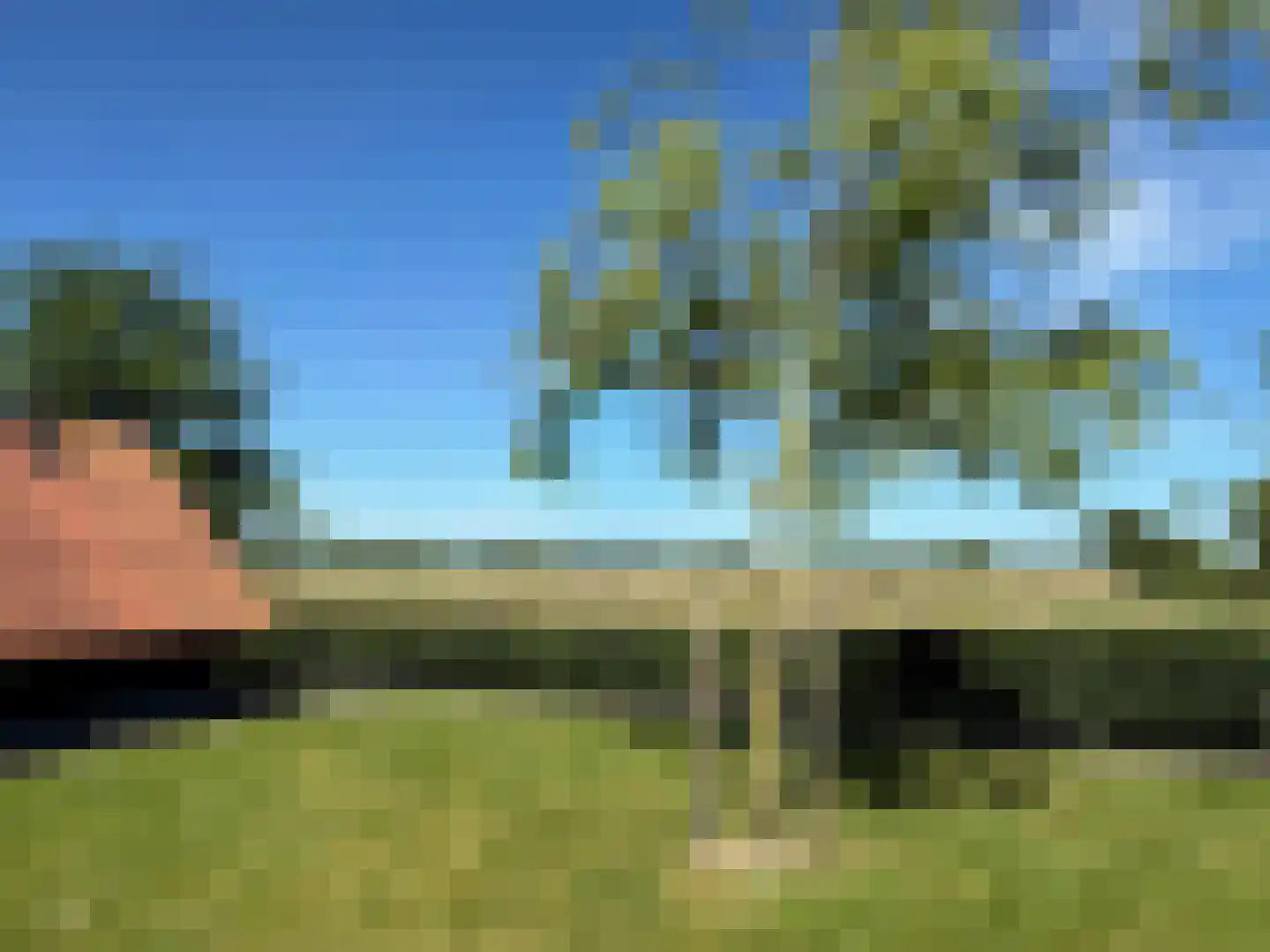 De Potten 101 Offingawier thumbnail 21