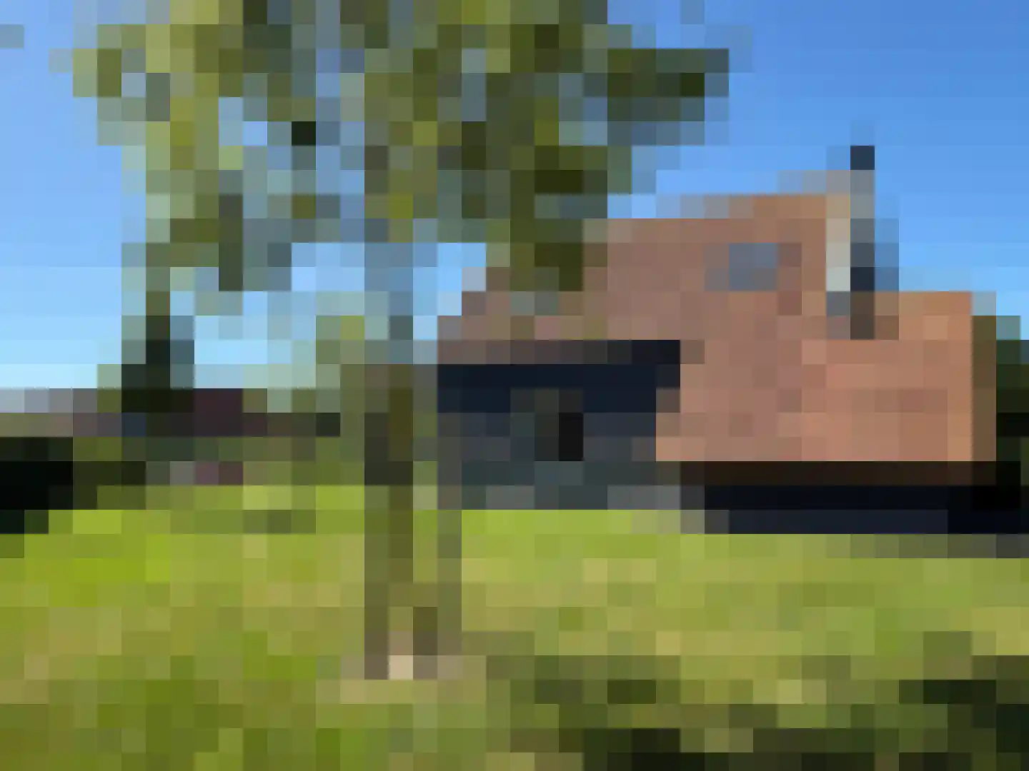 De Potten 101 Offingawier thumbnail 22