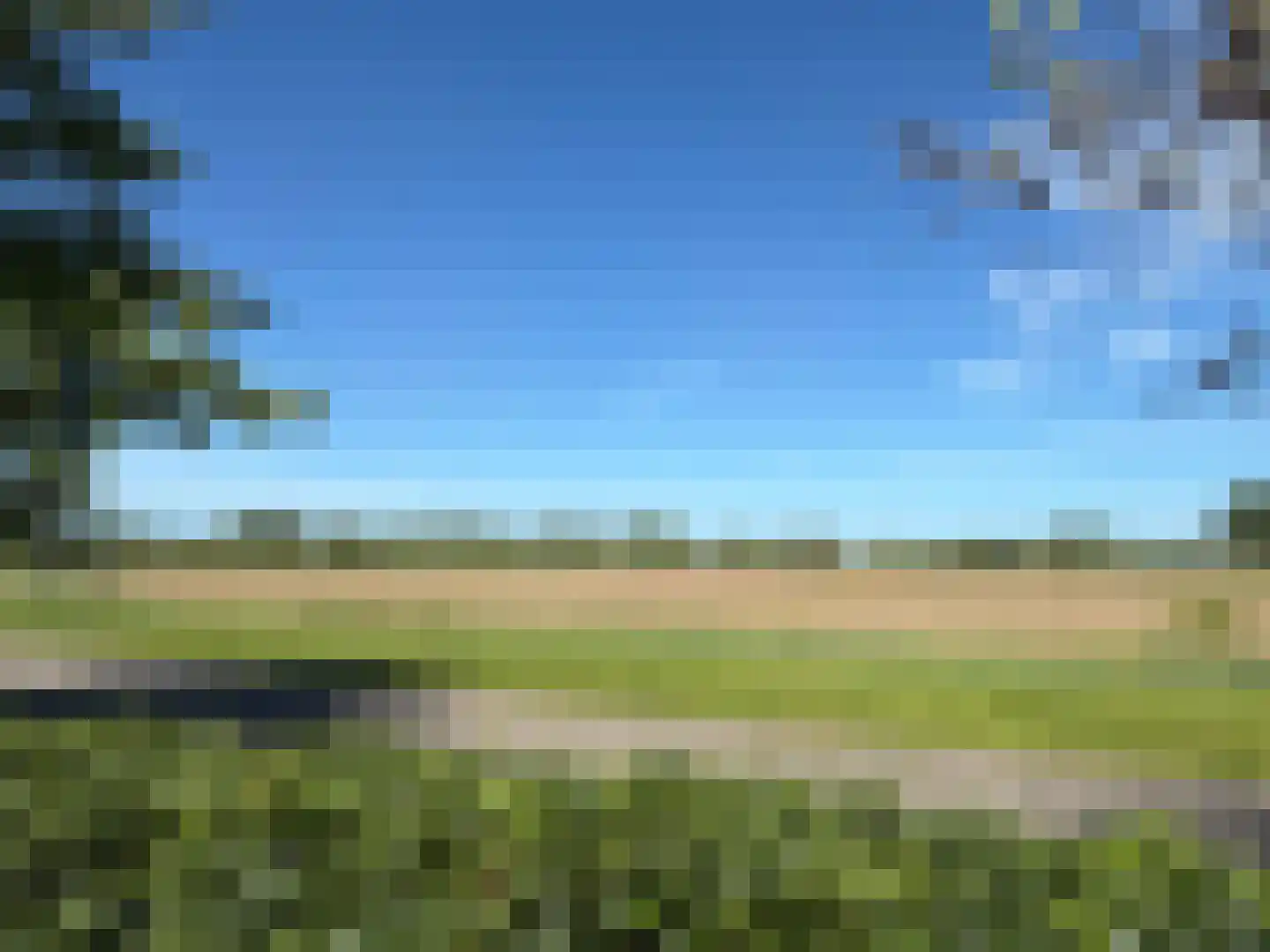 De Potten 101 Offingawier thumbnail 23