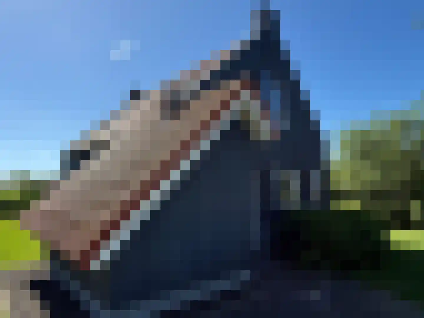 De Potten 101 Offingawier thumbnail 24