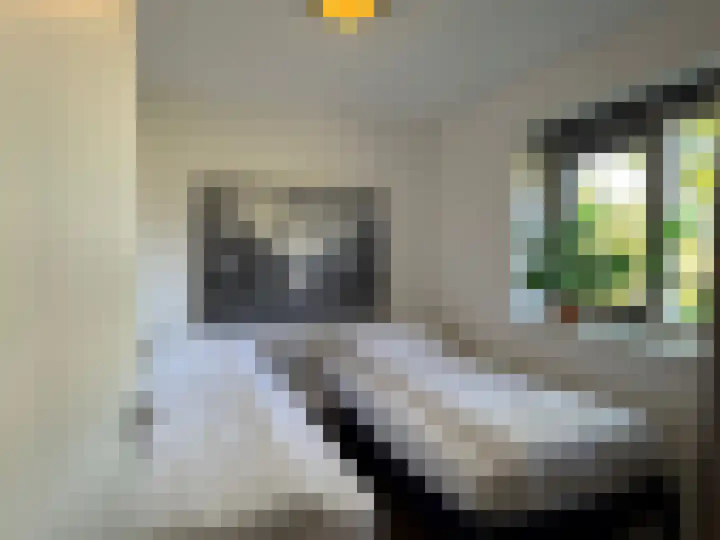 De Potten 101 Offingawier thumbnail 31