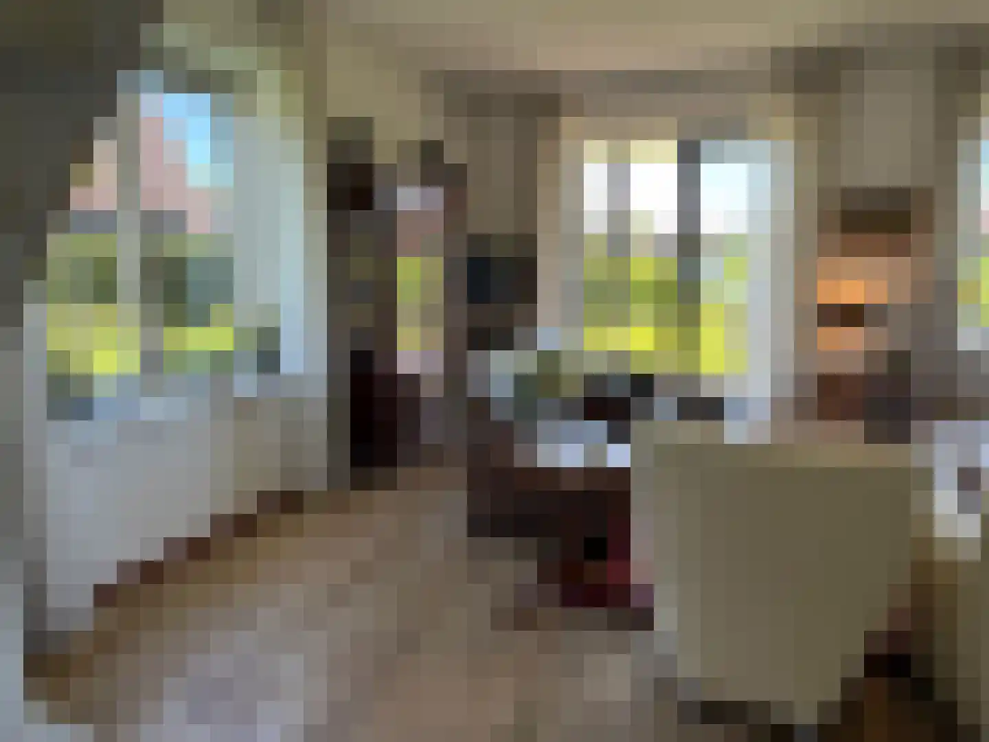 De Potten 101 Offingawier thumbnail 35